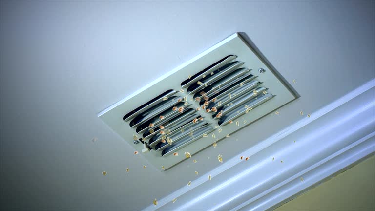 Best Residential Air Duct Cleaning  in El Dorado Springs, MO